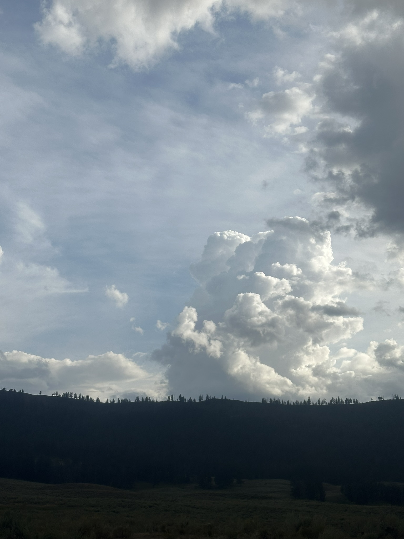Yellowstone And Grand Teton National Parks - Image 1109
